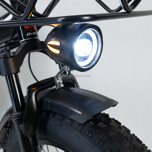 Bicicleta Eléctrica Plegable DISIYUAN F1 500W 48V Litio Rueda Ancha de 20x4 Pulgadas Ebike con Asiento Trasero Bicicleta Eléctrica de Montaña - Product Image 4