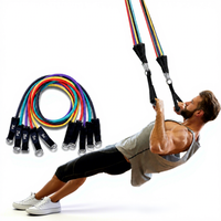 Ensemble de tubes de résistance 100 lbs en TPE avec poignées à anneau en D et mousquetons pour entraînement complet du corps, gym à domicile, mise en forme corporelle