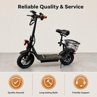 Trottinette électrique intelligente pliable et étanche pour adulte, prix usine, avec siège et panier, batterie lithium 48V 8Ah, moteur brushless 500W, autonomie 25-30km