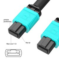 Cable de Conexión Multimodo OM3 de Baja Pérdida de 1m, MPO de 12 Núcleos, Tipo B, LSZH Aqua, para Redes 40G 100G QSFP QSFP28