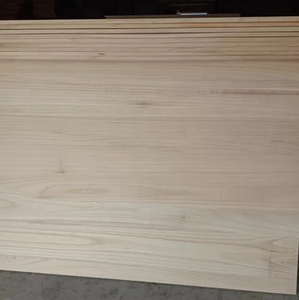 Échantillon gratuit fourni : <span class=keywords><strong>Planche</strong></span> en <span class=keywords><strong>bois</strong></span> de Paulownia pour kitesurf - Product Image 2