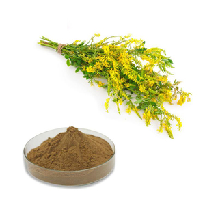 Sweet Clover Extract Coumarin High Quality Melilotus Officinalis Extract Coumarin <strong>Powder</strong> - Product Image 1