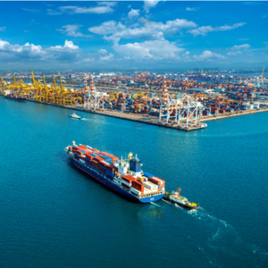 Expédition de mer de transitaire d'inspection de qualité chinoise fournit la Chine vers le cargo des états-unis - Product Image 4