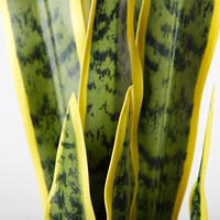 Plante artificielle succulente 'Mother Law Tongue' en pot, 56 cm, pour intérieur