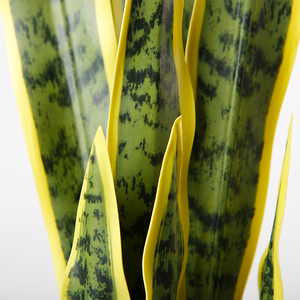Planta Artificial <span class=keywords><strong>de</strong></span> 56 cm, Tipo Bonsái, Suculenta '<span class=keywords><strong>Lengua</strong></span> <span class=keywords><strong>de</strong></span> Madre', en Maceta, para Interiores - Product Image 5