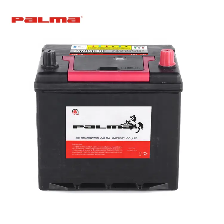 Produttori leader di batterie per auto a batteria al piombo sigillate Palma 12V 60Ah