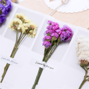 C-32 Nuevos Estilos de Tarjetas de Felicitación con Flores Secas - Product Image 5