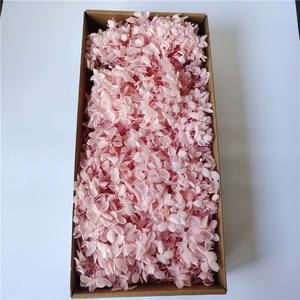 Preserved Hydrangea Flowers Hydrangea Tree Tower-shaped Medium Leaves Yunnan Christmas Bouquet DIY Materials Box Packaging - Product Image 4