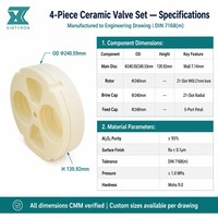 SINTYRON Kit de disques de soupape pour adoucisseur d'eau en céramique d'alumine, 4 pièces, Al2O3 95%, Capuchon de sel principal, Capuchon d'alimentation, Rotor, OEM, Traitement de l'eau