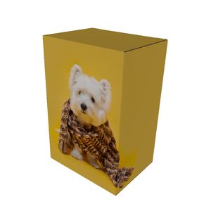 Caja <span class=keywords><strong>de</strong></span> embalaje <span class=keywords><strong>de</strong></span> cartón <span class=keywords><strong>de</strong></span> papel <span class=keywords><strong>de</strong></span> arte personalizable al por mayor <span class=keywords><strong>para</strong></span> regalos <span class=keywords><strong>de</strong></span> <span class=keywords><strong>ropa</strong></span> <span class=keywords><strong>de</strong></span> mascotas diseño personalizado - Product Image 2