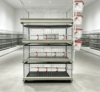 Cage à poulets à 2 portes en acier électrogalvanisé à 4 niveaux pour 80 oiseaux