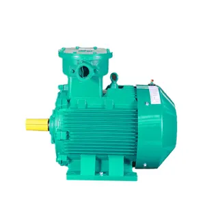 Squirrel Cage Motor Explosion Proof Classic Design YBX3 Electric Motor Three Phase Induction Motor