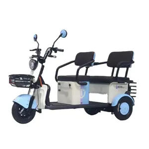 High End Configuration 14inch 600w Electric Cargo Bike Vacuum Tire Tricycle Electric Tricycles E Trike With Basket