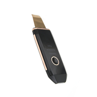Élimination des points noirs du visage Peeling Vibration Outils de beauté à haute fréquence Spatule de contour en acier inoxydable Dispositif de levage du visage