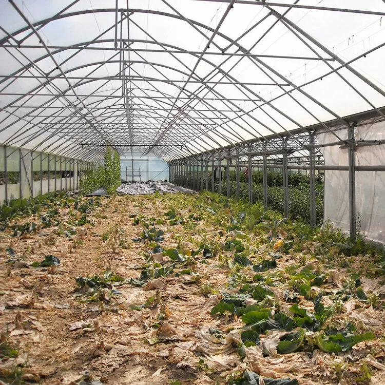 Polytunnel Enkellaags Uv Beschermd Polyethyleen Plastic Groene Huizen Voor Landbouw