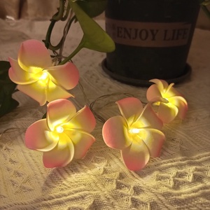 ไฟ Led ประดับวันหยุดอื่นๆ,ไฟ LED สำหรับตกแต่งงานแต่งงานไฟสาย Led 10ดวงสำหรับห้องนอนตกแต่งเทศกาลคริสต์มาส - Product Image 2