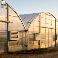 Serres industrielles multi-travées de grande taille au meilleur prix d'usine pour plantes et jardins potagers avec structure galvanisée à chaud