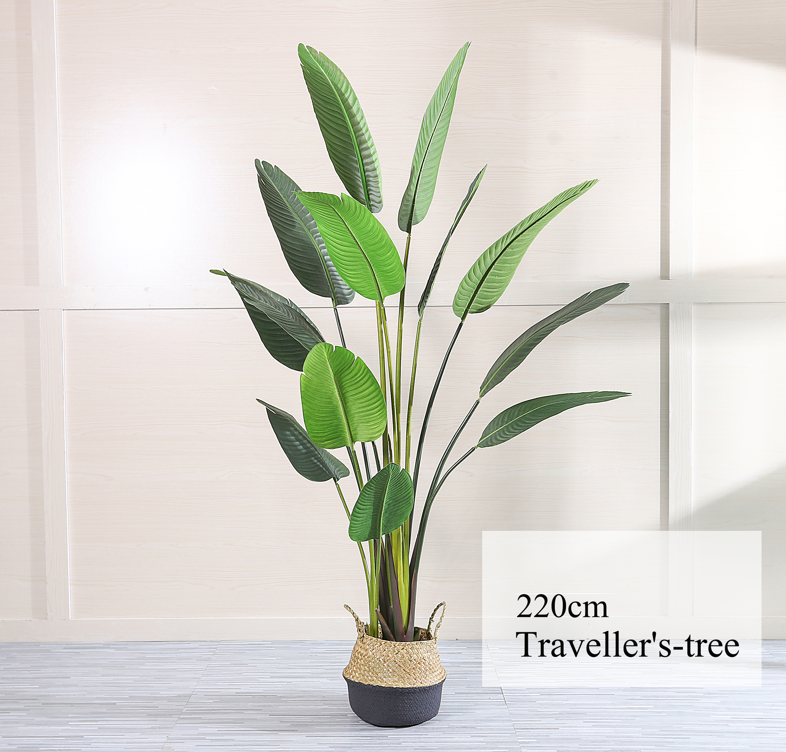 220ซม./ต้นกล้วย-เขียว
