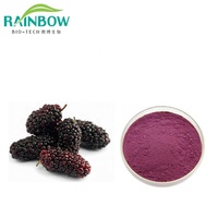 Premium 100% natuurlijk gevriesdroogd zwart moerbeipoeder voor smoothies en bakken