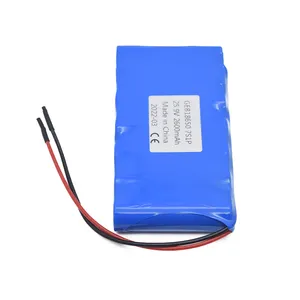 סטנדרטי ליתיום יון 22.2V 24V 25.2V 25.9v 2600mah 10000mAh 18650 נטענת Li יון חבילה עבור Hoverboard