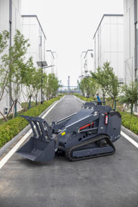 Yht750 Crawler Lader Schranklader | 0.3M Bakcapaciteit | Kubota Motor 18.4kw | 1 Jaar Garantie | Epa Euro V <span class=keywords><strong>Ce</strong></span> - Product Image 4