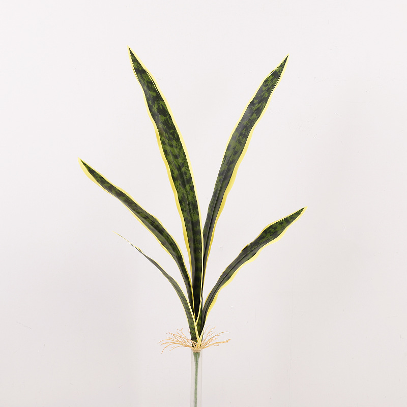 Plante serpent, vert jaunâtre, taille moyenne, H67cm