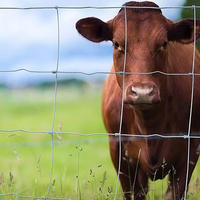 Cerca de Alta Calidad para Campos Agrícolas, Galvanizada y Resistente a la Oxidación, para Caballos, Ganado y Animales