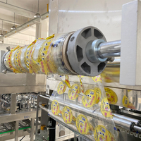 Machine de remplissage et de remplissage automatique d'eau minérale, haute efficacité, pour verres en plastique, ligne de Production d'eau minérale
