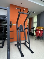 Tour de musculation professionnelle en métal pour usage commercial, machine VKR (Vertical Knee Raise) robuste, station de dips, entraînement de force en salle de sport, 80 kg