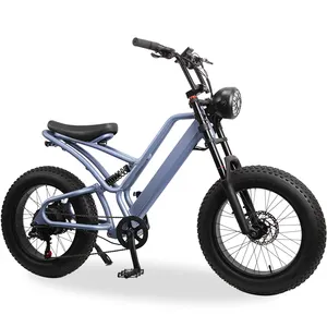 Fabbrica OEM 350W 500W 750W litio E-BIKE Mountain bicicletta elettrica a forma speciale elettrica con pneumatico grasso