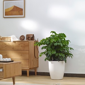 Bán Buôn Thiết Kế Hiện Đại Tự Tưới Nước Chậu Hoa Đường Kính Lớn Vòng Trắng Trồng Cho Sàn Vườn Cách Sử Dụng - Product Image 2