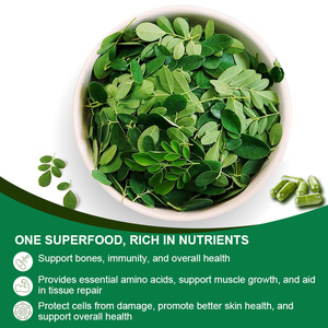 Polvo de Hoja de Moringa Herbal Natural que Apoya el <span class=keywords><strong>Sistema</strong></span> Inmunológico, los Niveles de Energía, la Salud de las Articulaciones, la Piel y el Cabello, Cápsulas de Moringa - Product Image 3