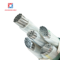 0,6/1kV Unterirdisches Direktverlegungskabel mit Aluminiumkern und XLPE-Isolierung (YJLV) für Park- und Straßenbau
