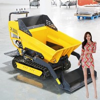 Mini-dumper tout-terrain sur chenilles, chargeuse compacte, buggy des dunes motorisé, multifonctionnel 500 kg