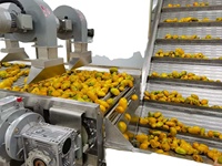 Volledig automatische industriële fruit sap productielijn sapcentrifuge hoge efficiëntie food grade roestvrij staal voor appel
