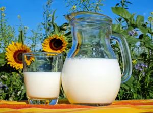 ST38 MACHINE À TRAITE CLAIRE SOUS VIDE 25L ASPIRATEUR UNIQUE COLLECTEUR DE <span class=keywords><strong>LAIT</strong></span> DE VACHE ET DE CHÈVRE - Product Image 3