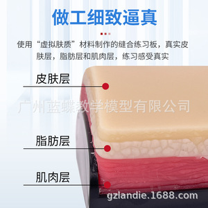 Module de suture cutanée simulant la peau humaine ; modèle d'entraînement à l'incision et à la suture des muscles profonds ; pratique de l'incision et de la suture chirurgicales. - Product Image 1
