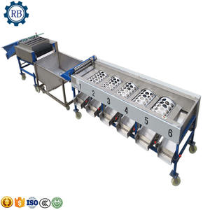 Dragon Fruit mango Lavado Selección Máquina <span class=keywords><strong>de</strong></span> clasificación Máquina <span class=keywords><strong>de</strong></span> selección <span class=keywords><strong>de</strong></span> tomate Pitaya Recolector <span class=keywords><strong>de</strong></span> aguacate - Product Image 6