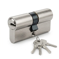 Cylindre de porte en laiton haute sécurité Euro, nickel brossé, profil 10 broches, anti-perçage, 60 mm (30/30), avec clé