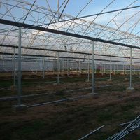 Serre en film plastique multi-travées pour tomates avec système de contrôle automatique