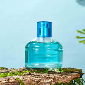 Top vente 100ml Oem huile de parfum marque Collection classique parfum logo personnalisé échantillons longue durée - Product Image 2