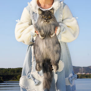 กระเป๋าเป้สะพายหลังผู้หญิงลายแมว<span class=keywords><strong>เมน</strong></span><span class=keywords><strong>คูน</strong></span>สำหรับคริสต์มาส  บุด้วยผ้าขนสัตว์เทียมแท้  ไส้ใยฝ้าย PP  พร้อมช่องซิปด้านใน  ผลิตด้วยมือ  ขายส่งโดย DUPAN - Product Image 6