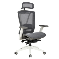 Chaises de bureau ergonomiques exécutives de luxe modernes de pleine maille à la maison avec le soutien lombaire