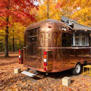 Food Truck Tematico Foresta Pluviale con Stazione Frutta Esotica e Griglia per Insetti per Pesce <span class=keywords><strong>Paiche</strong></span>, Formiche, Acai Bowl e Pane di Manioca - Product Image 5