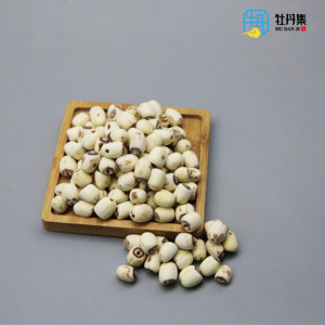Tè di Radice di Ginseng e Semi di Loto Bianco Essiccati di Alta Qualità <span class=keywords><strong>per</strong></span> Tonificare il Qi e Nutrire i Reni Maschili - Product Image 4