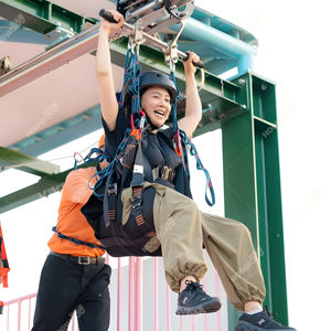 Attrezzature personalizzate per il divertimento del parco avventura all'aperto di alta corda e Zip Coaster per punti panoramici della cultura e del turismo - Product Image 1