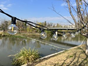 Luci LED USB 100/50/25ft 5V 1W G40 lampadina in plastica all'aperto <span class=keywords><strong>tenda</strong></span> impermeabile da giardino fata da giardino - Product Image 5