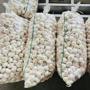 <span class=keywords><strong>Ajo</strong></span> Fresco Normal <span class=keywords><strong>Ajo</strong></span> Blanco Al Por Mayor 20KG Bolsa De Malla <span class=keywords><strong>Ajo</strong></span> Fresco - Product Image 3