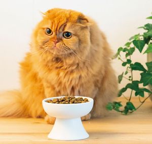 Новые и оригинальные керамические миски для животных с эффектом камня, охлаждающие, 0,5 кг - Product Image 2