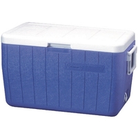 Glacière isotherme moderne 46L en PE pour pique-niques, pêche, fêtes en plein air et canettes - Maintien au froid 72H